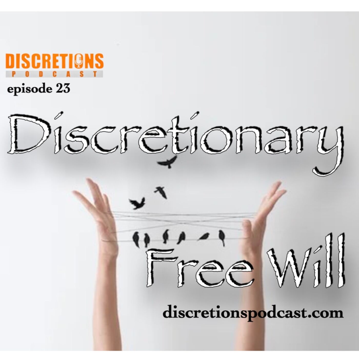 Discretions Podcast with Eric & Nick