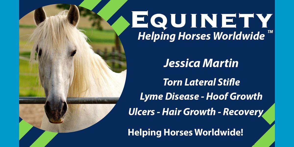 Jessica Martin – 1D Horse – Career Ending Injury Torn Lateral Stifle – 2nd horse -Lyme Disease - Multiple Horses Equinety helps with – hoof growth – ulcers – hair growth – recovery – not stiff while hauling