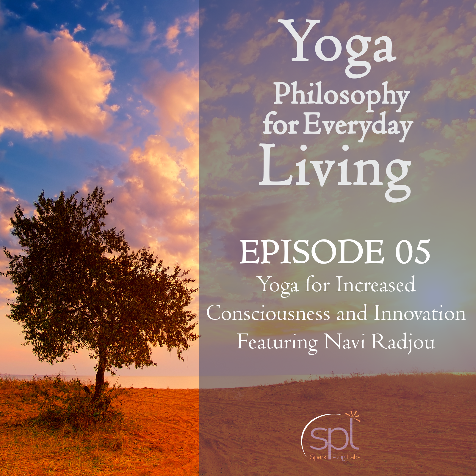 Yoga Philosophy for Everyday Living