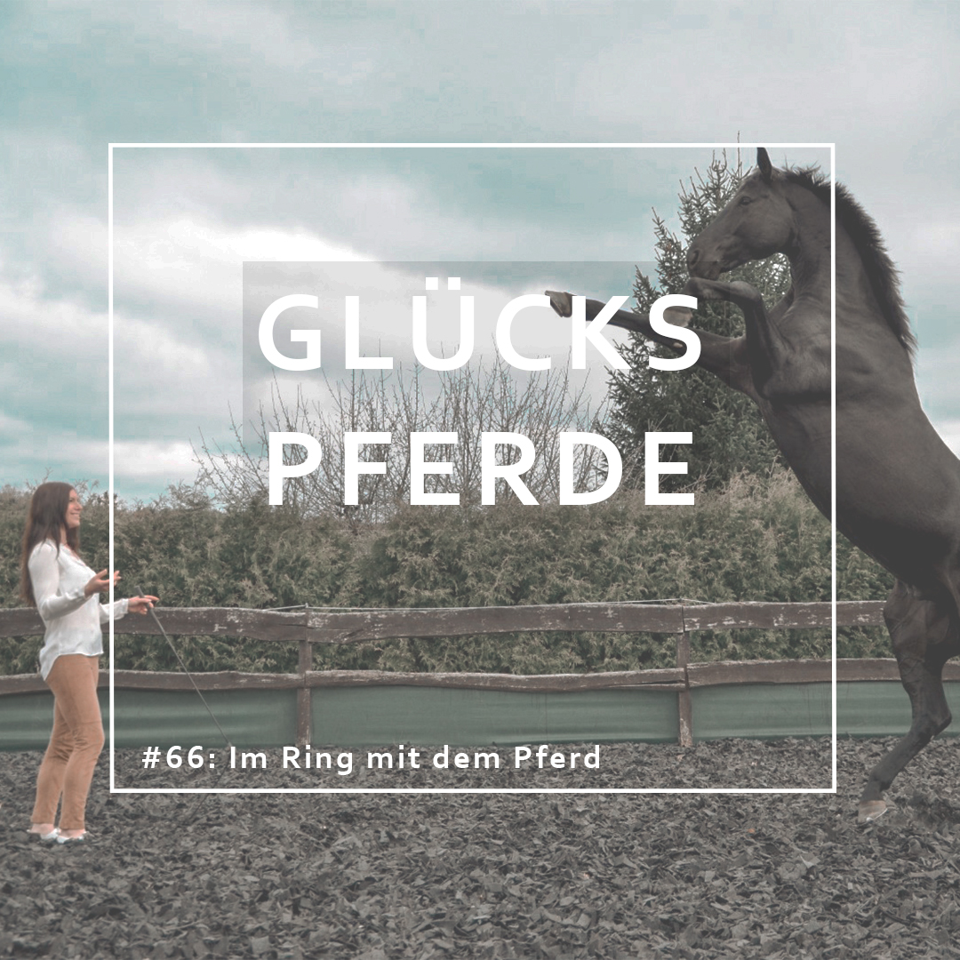 GlücksPferde - Erfüllt leben im Spiegel der Pferde