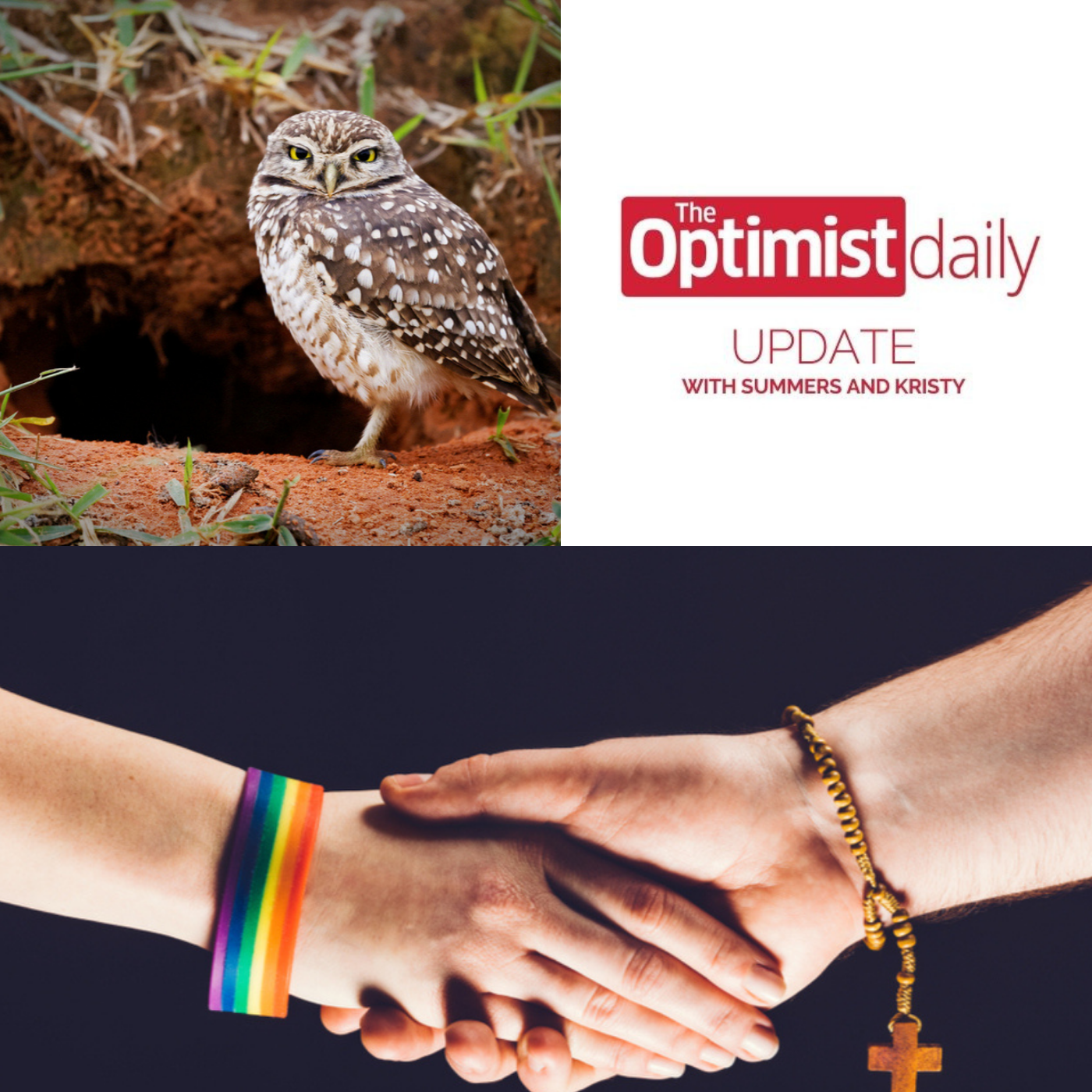 Fake Poop & LGBTQ+ Movement within Roman Catholic Church in Germany