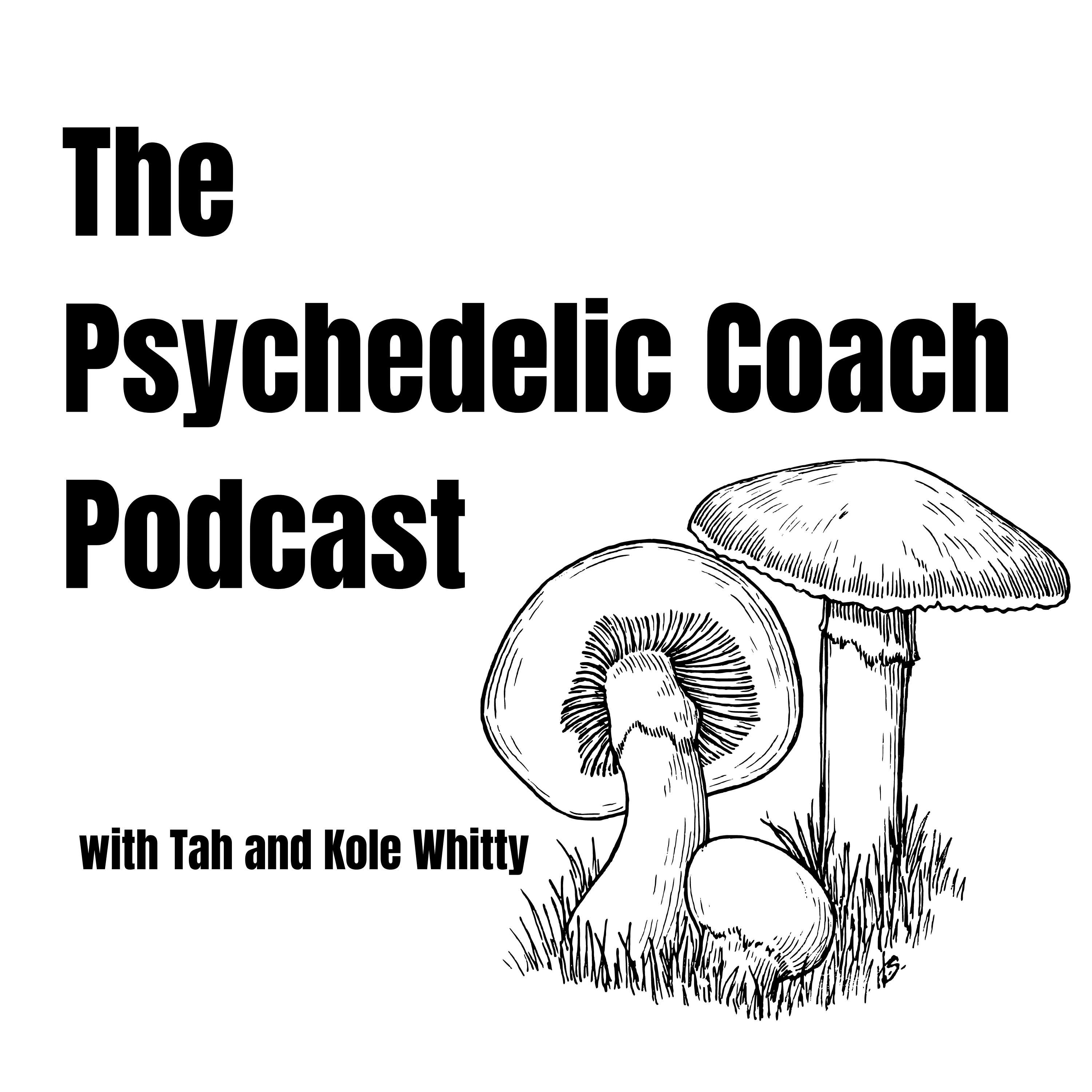 The Psychedelic Coach Podcast