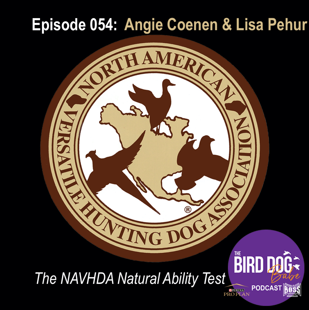 The Bird Dog Babe