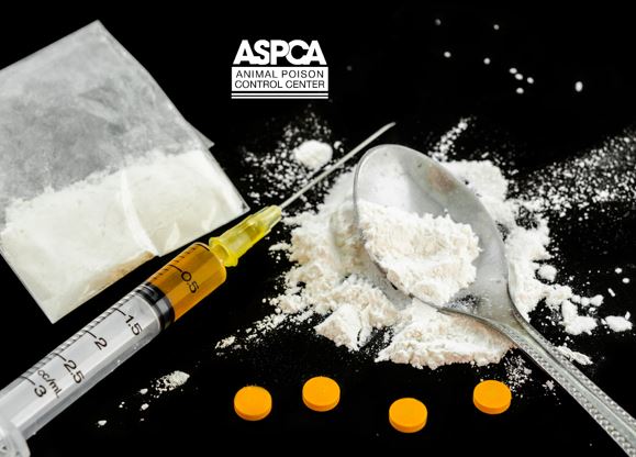 ASPCA Animal Poison Control Center for Vets