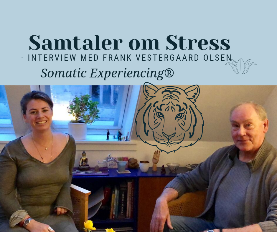 Samtaler om Stress