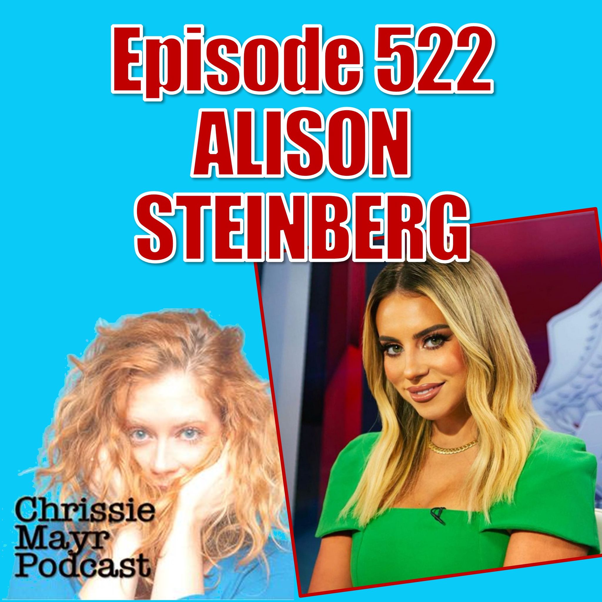 CMP 522 - Alison Steinberg