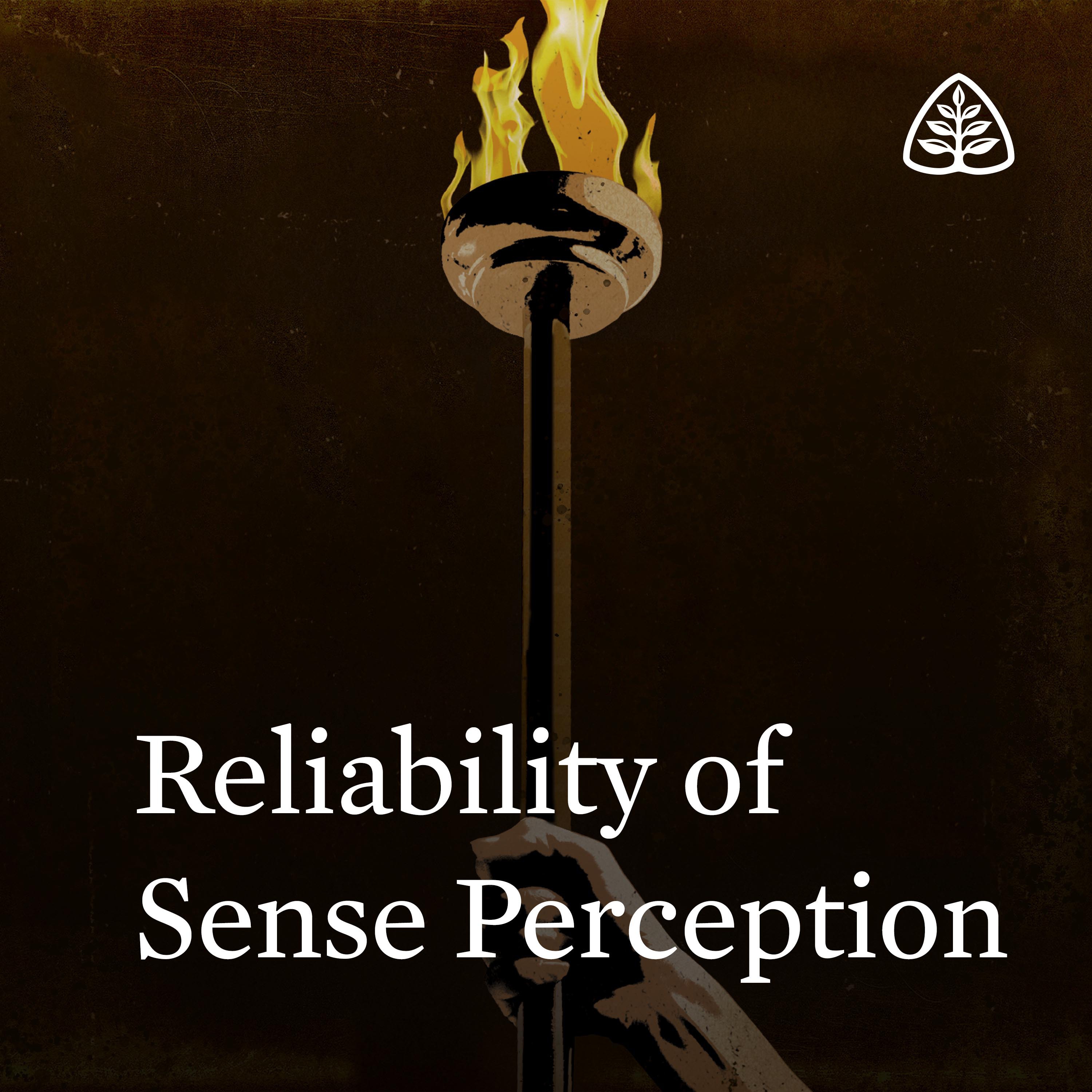 Reliability of Sense Perception
