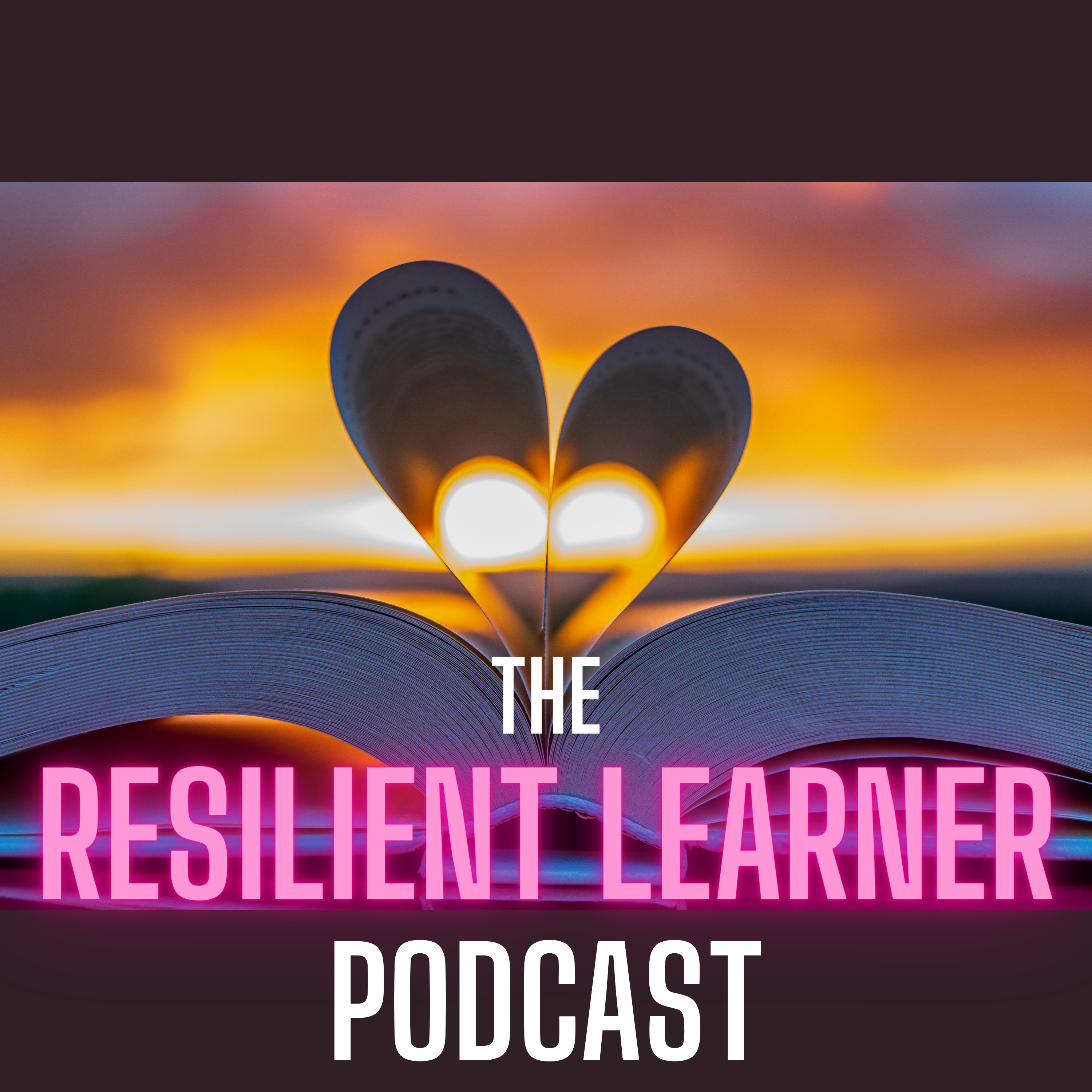The Resilient Learner