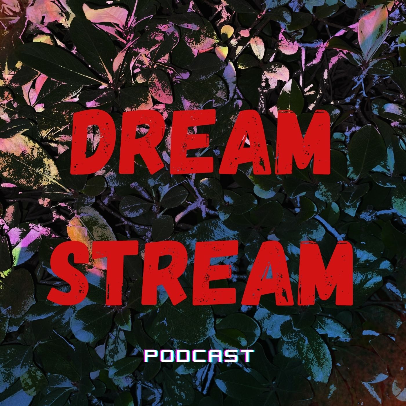 Dream Stream