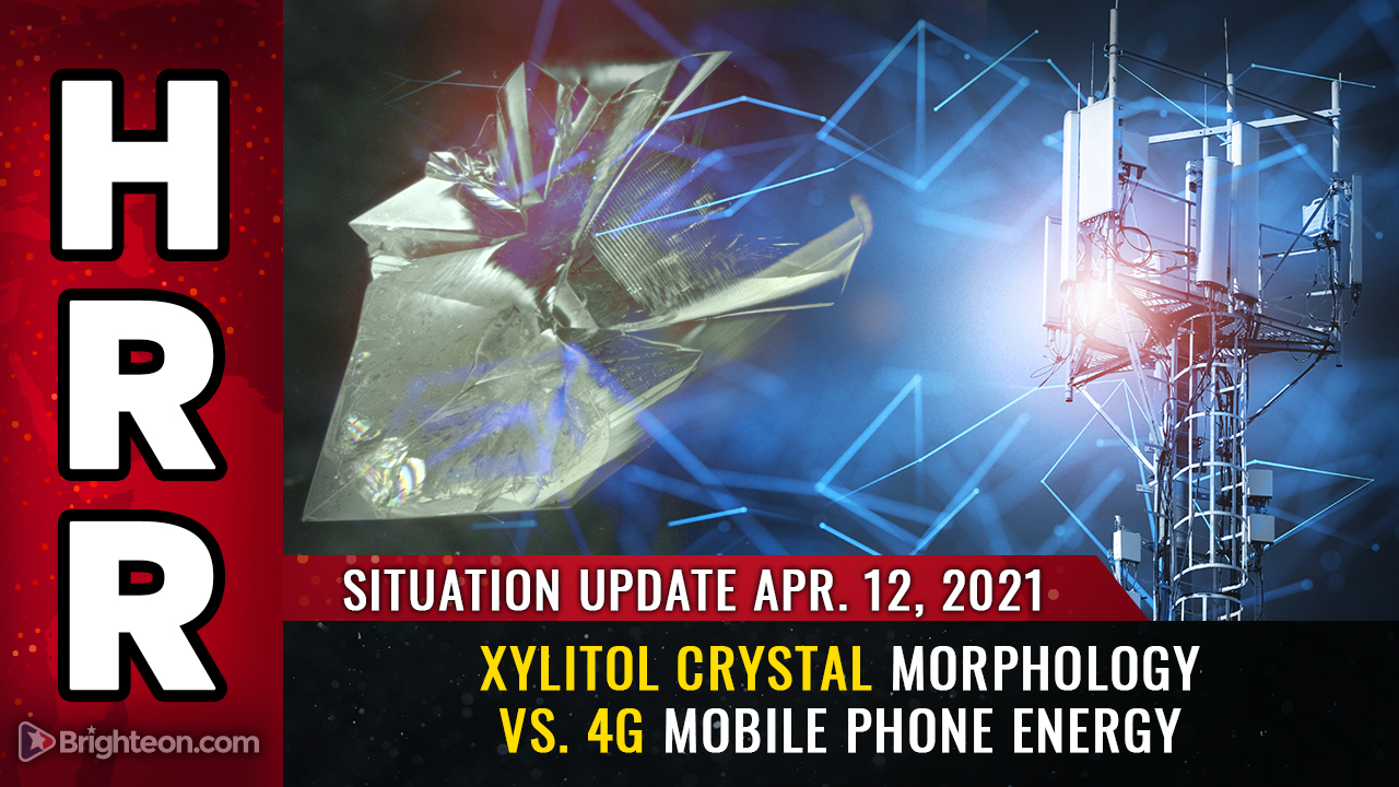 Situation Update, April 12th, 2021 - Xylitol crystal morphology vs. 4G mobile phone energy