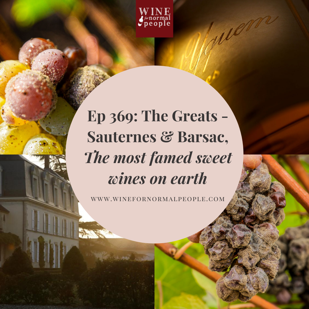 Ep 369: The Greats -Sauternes and Barsac