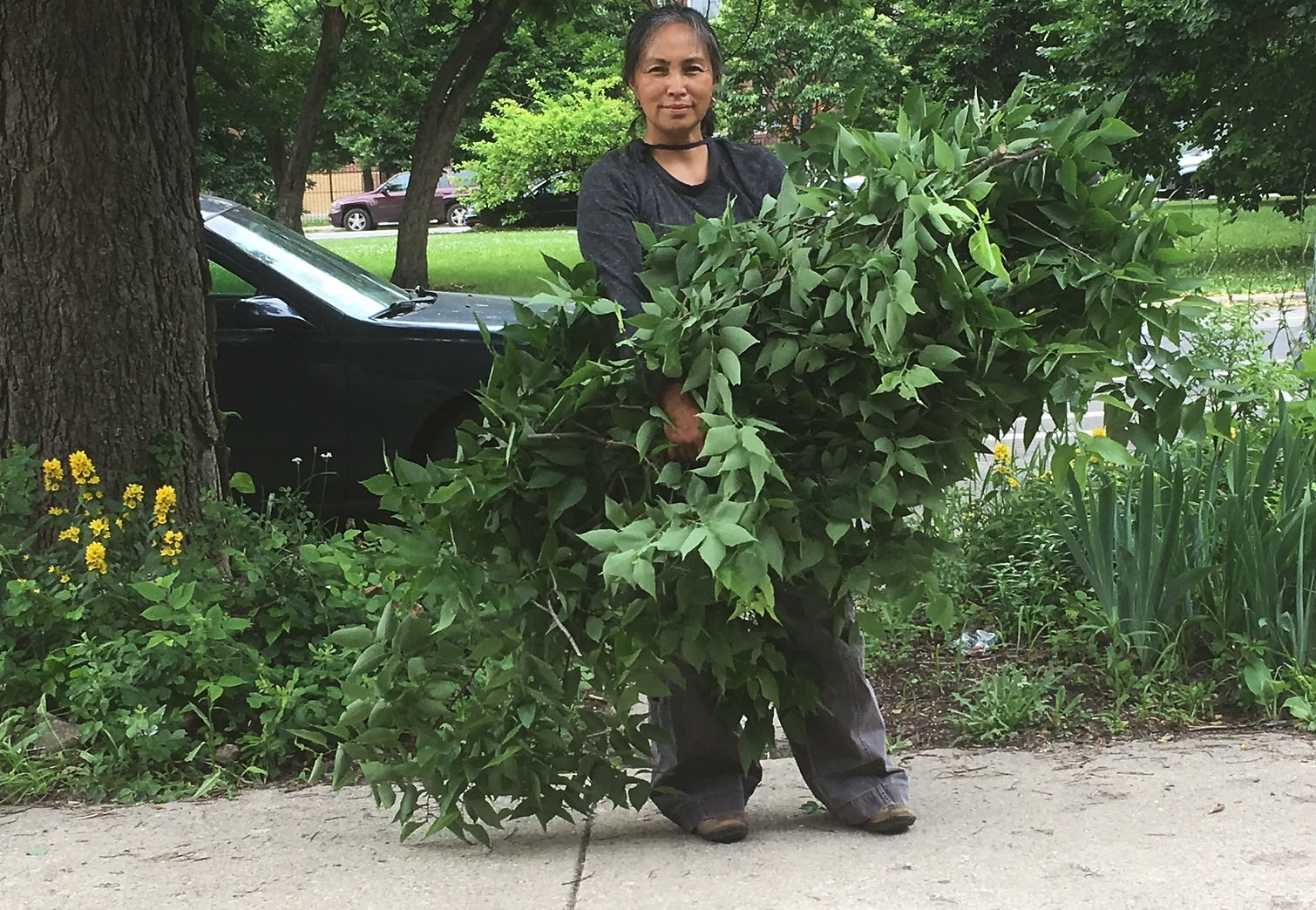 nativeplantpodcast\'s podcast