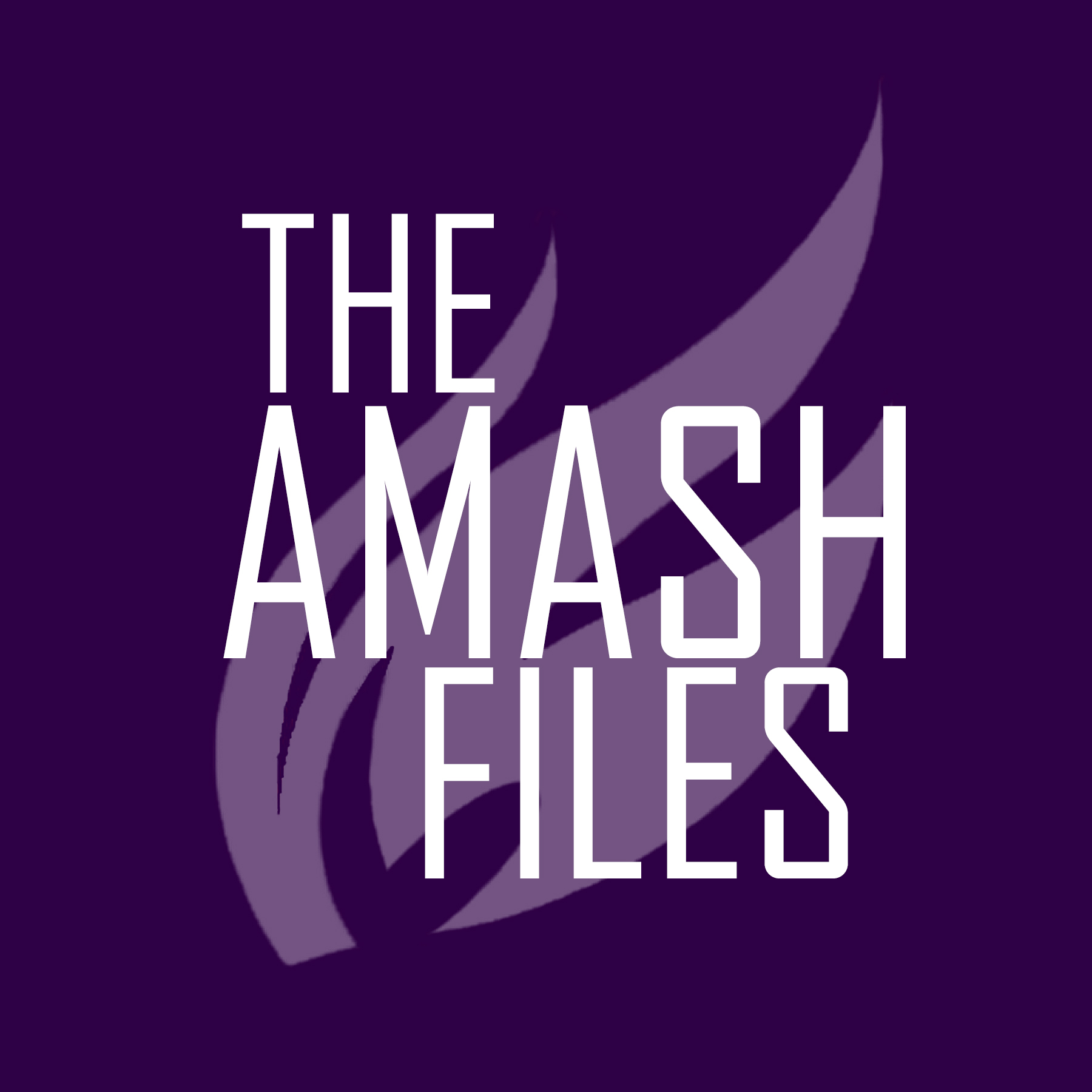 What is it like to work for Justin Amash?