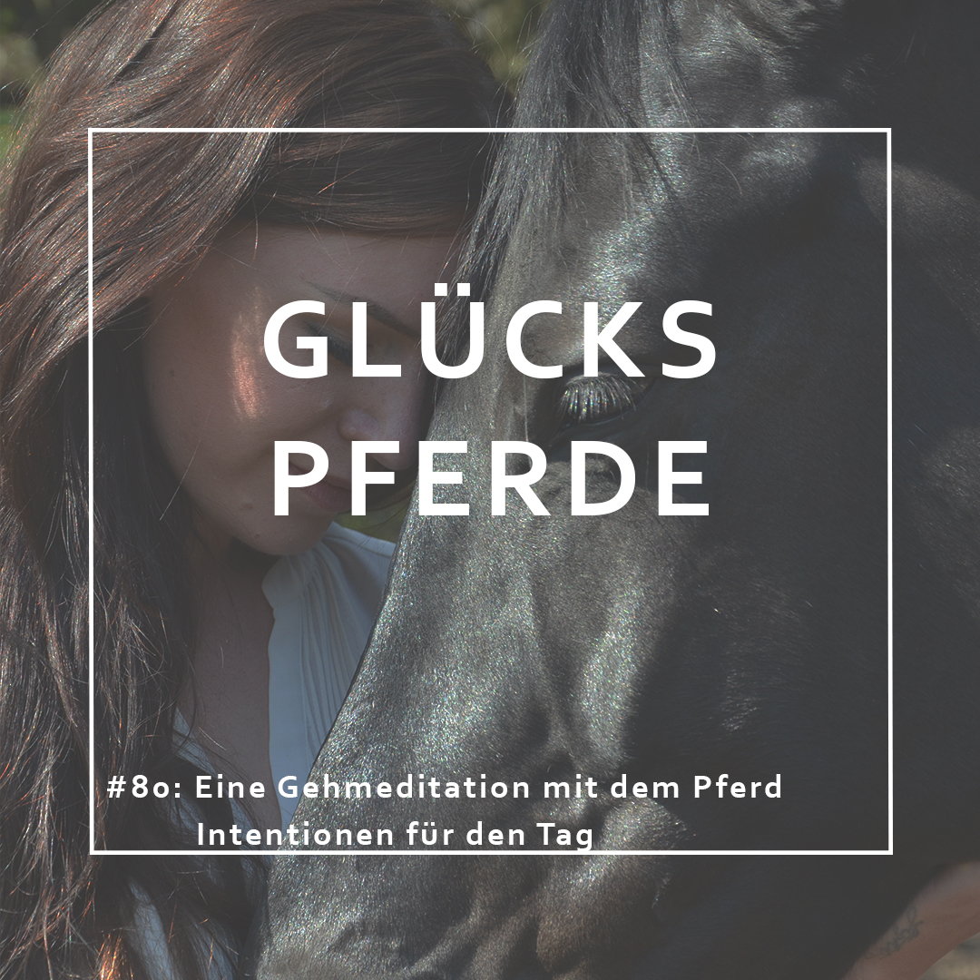 GlücksPferde - Erfüllt leben im Spiegel der Pferde