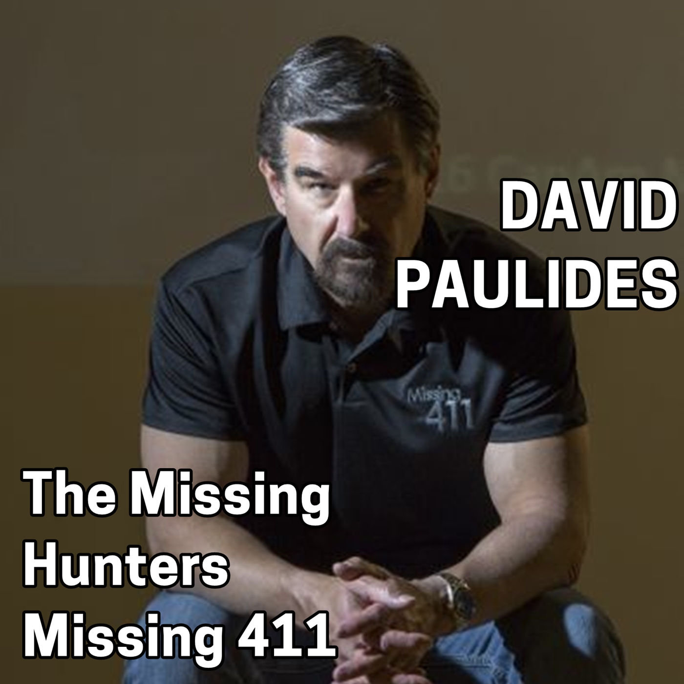 david politis missing 411 books