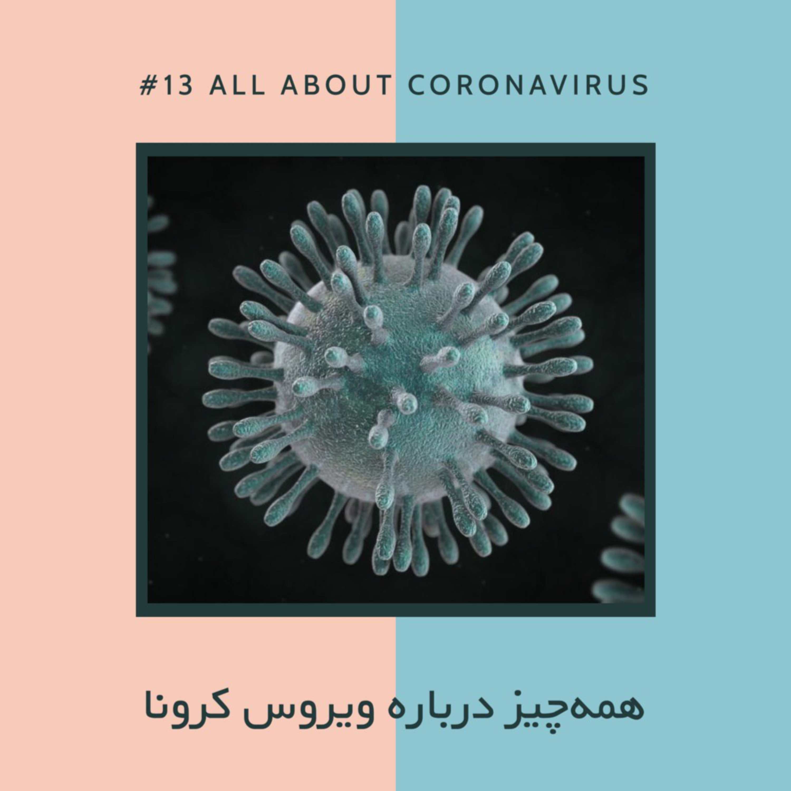 AJIL | آجیل