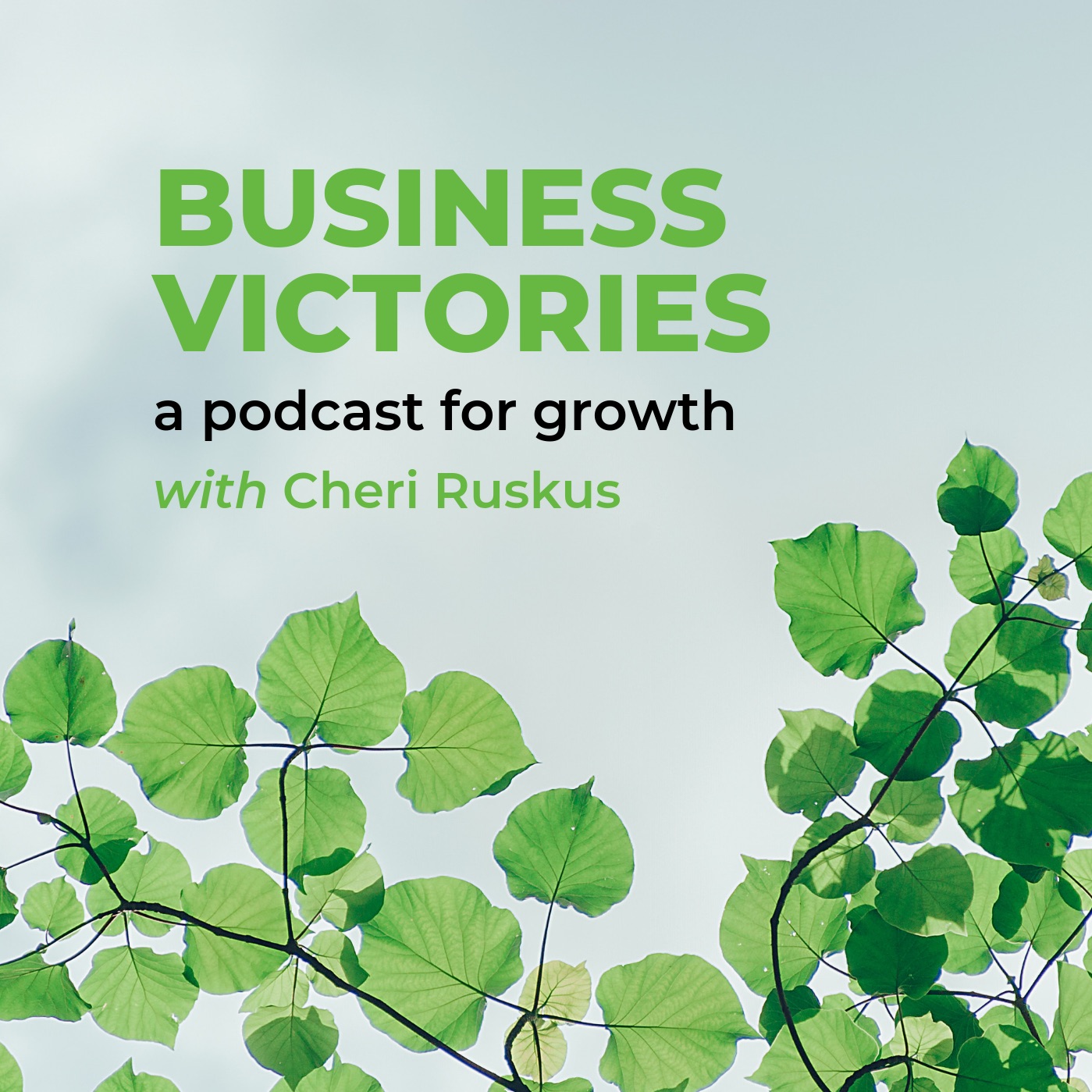 The Bright Shiny Object Project