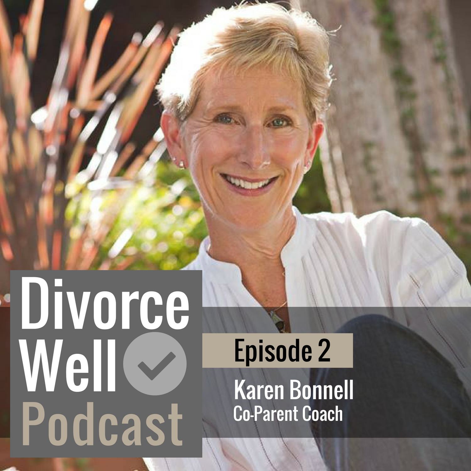 The Divorce Well Podcast