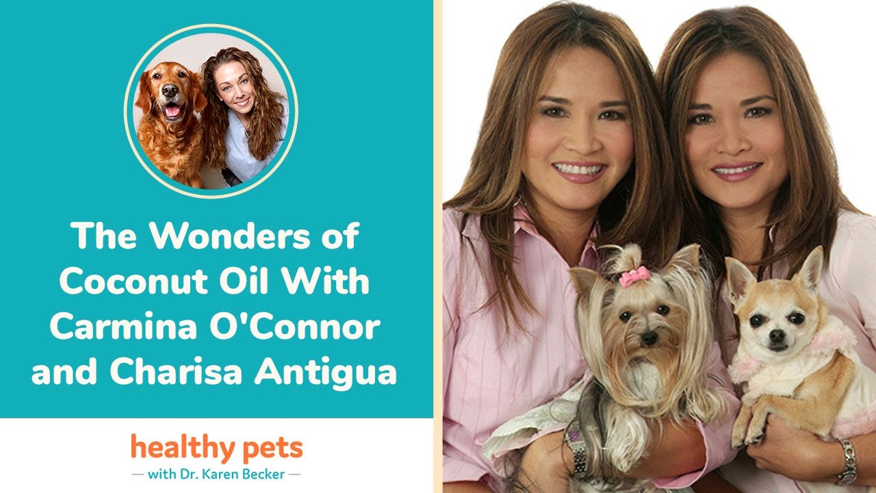 The Wonders of Coconut Oil Discussion Between Carmina O'Connor, Charisa Antigua & Dr. Becker