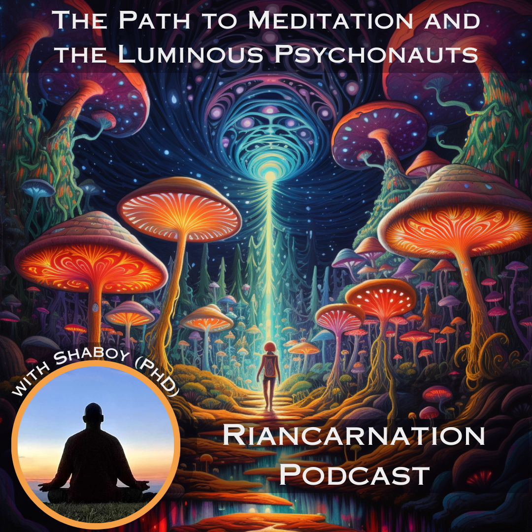 Riancarnation