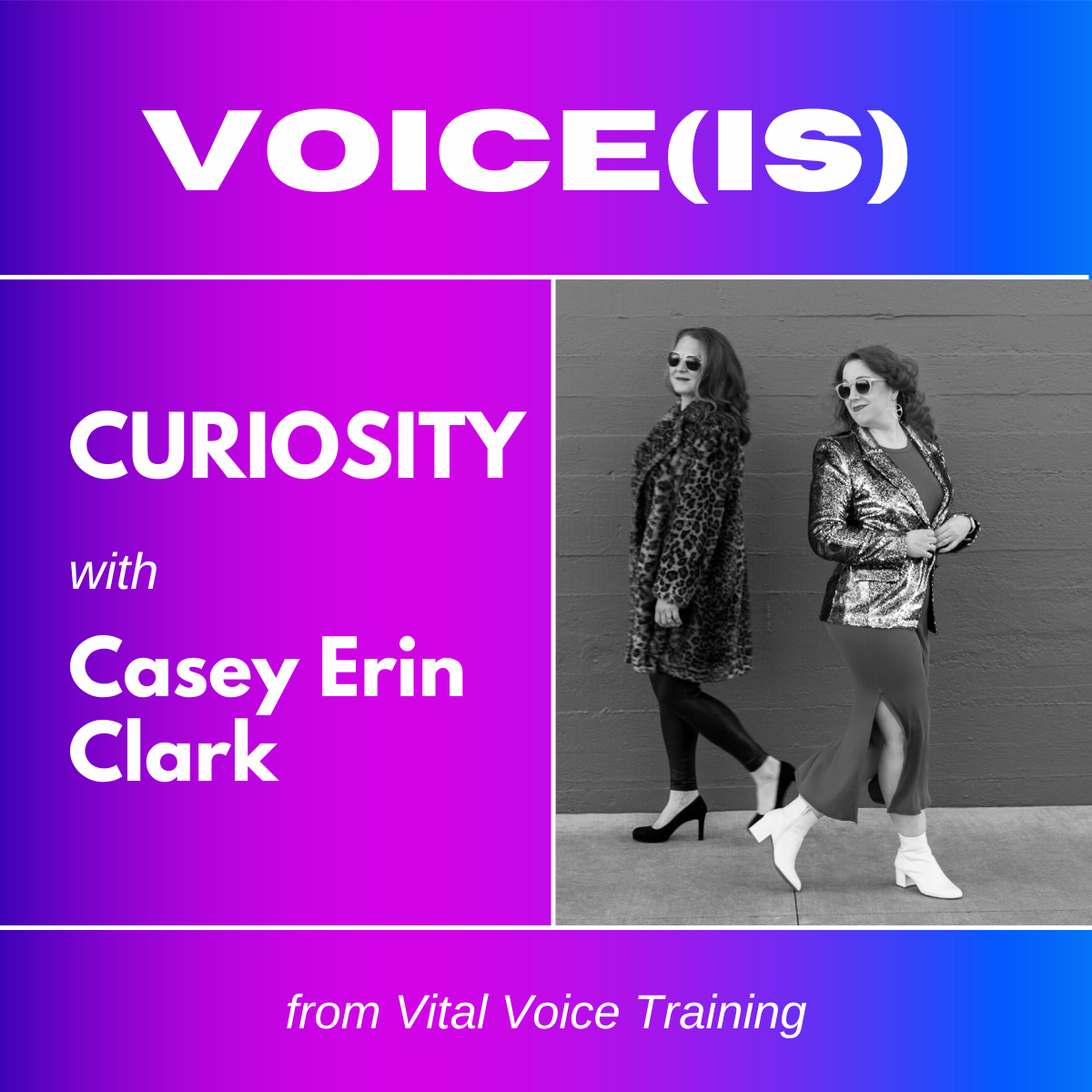 Voice Is