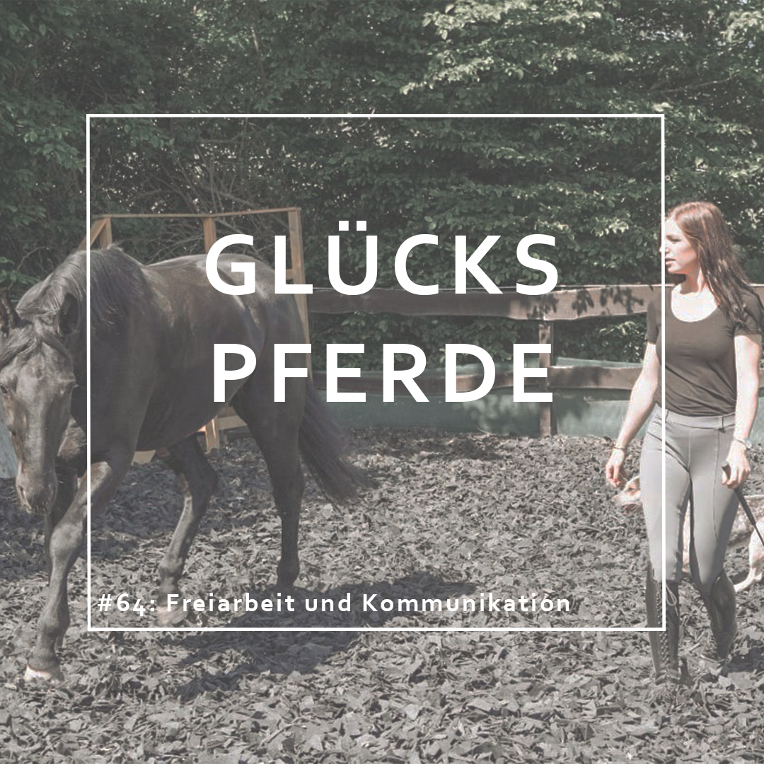 GlücksPferde - Erfüllt leben im Spiegel der Pferde