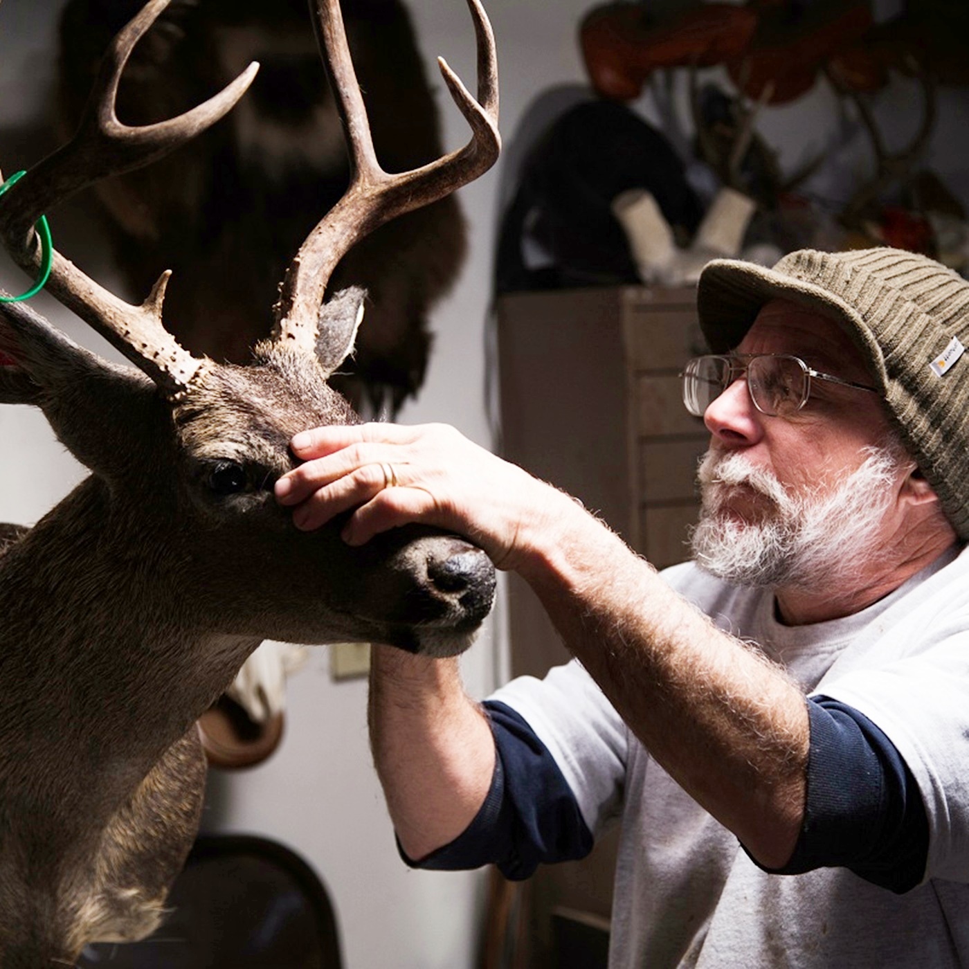 Deer Hunt Big Buck Registry fueled by Rackology.org