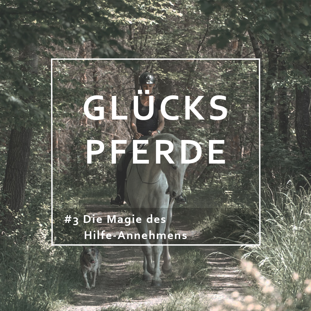 GlücksPferde - Erfüllt leben im Spiegel der Pferde