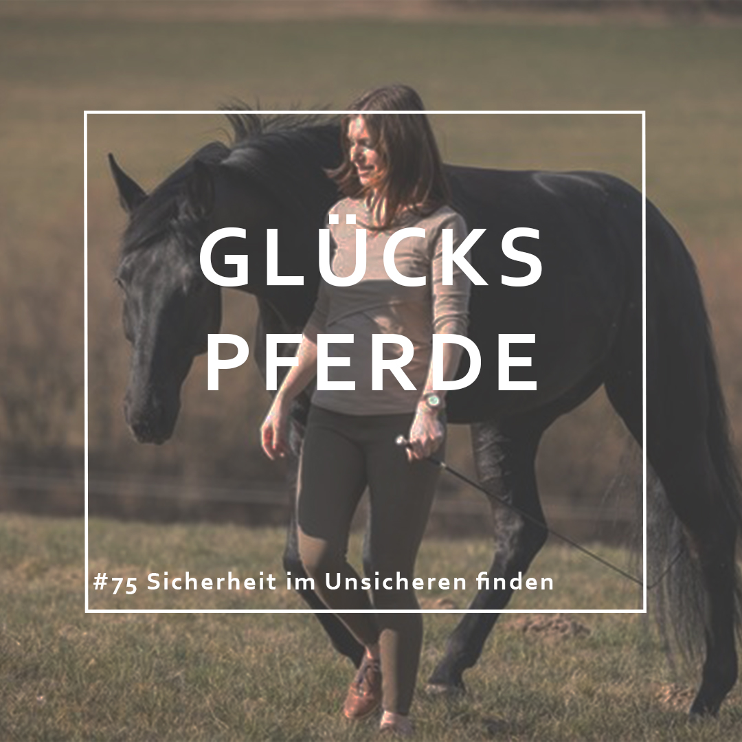 GlücksPferde - Erfüllt leben im Spiegel der Pferde