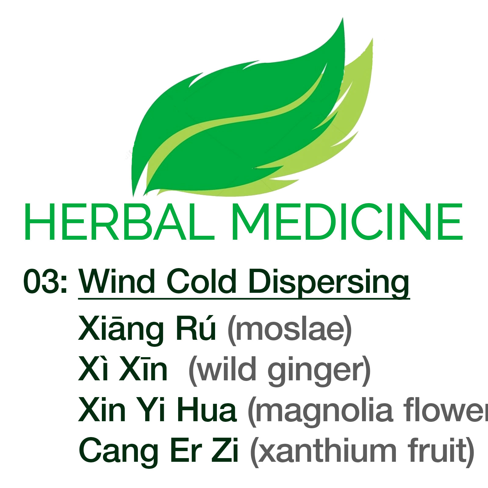 Herbal Medicine: A Guide to Single Herbs and their Clinical Application