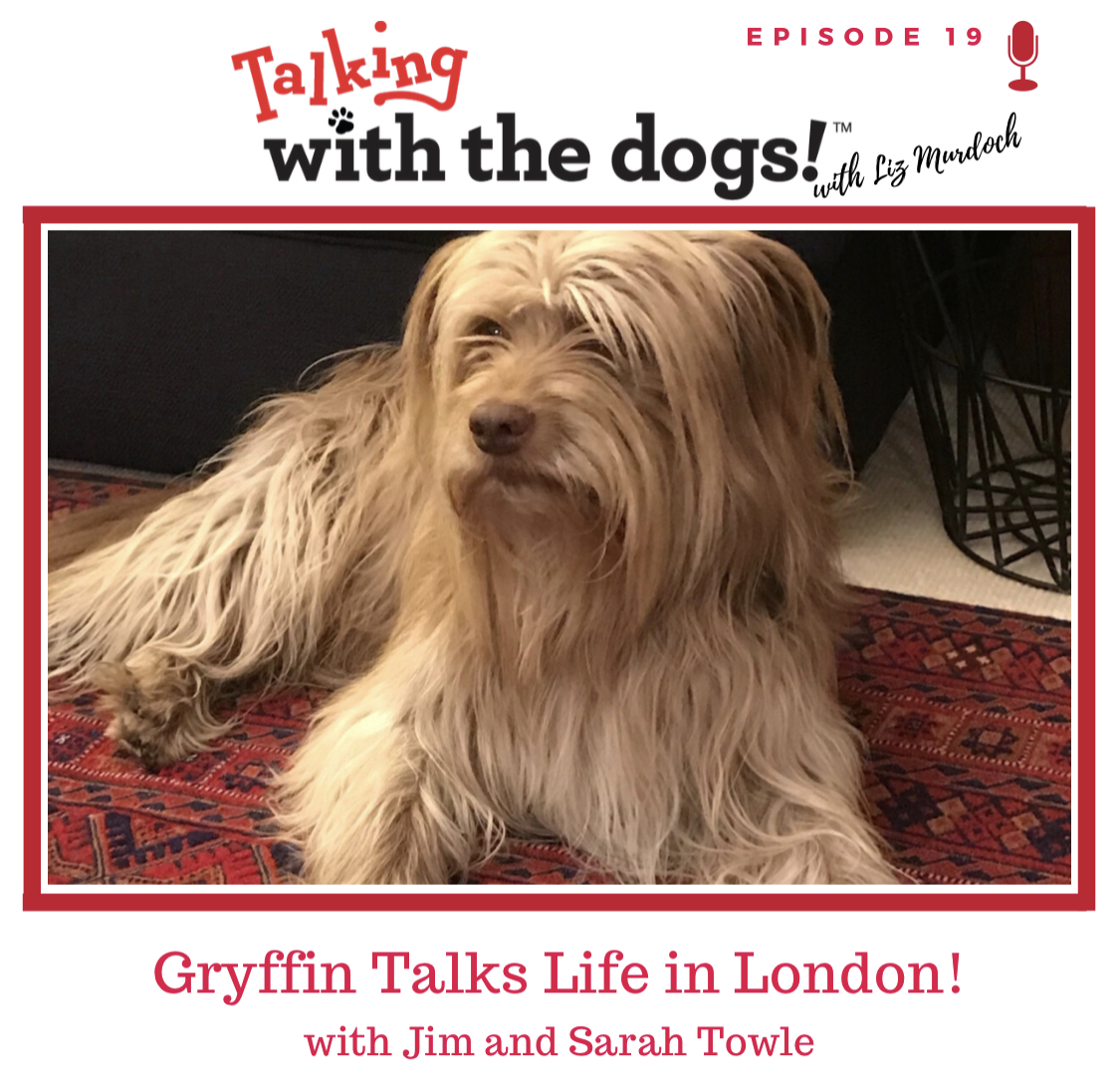 Talking with the dogs!