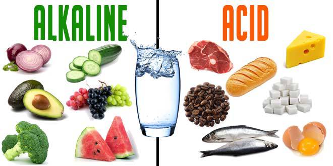 The Health and Fitness Connector Podcast