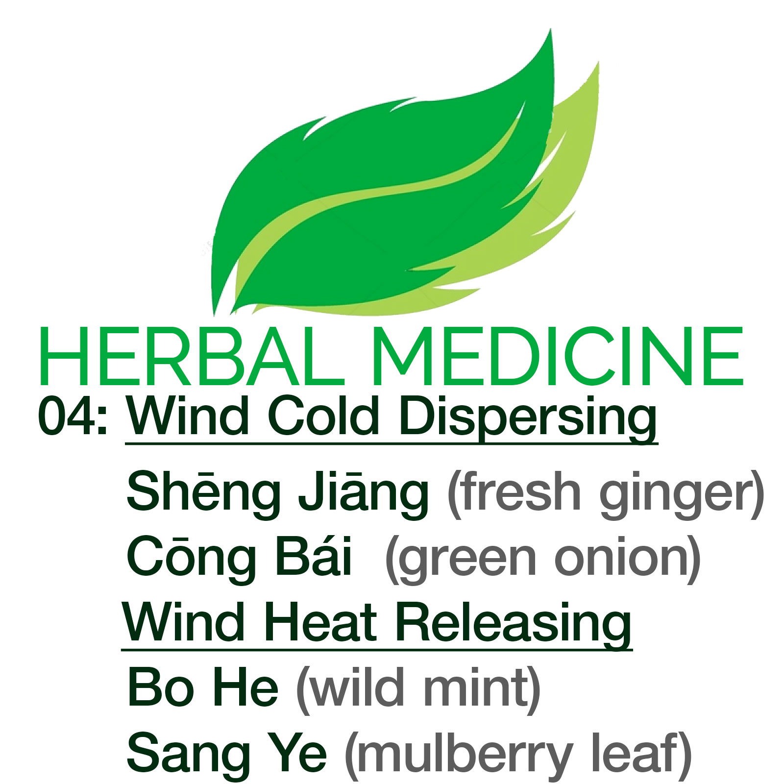Herbal Medicine: A Guide to Single Herbs and their Clinical Application