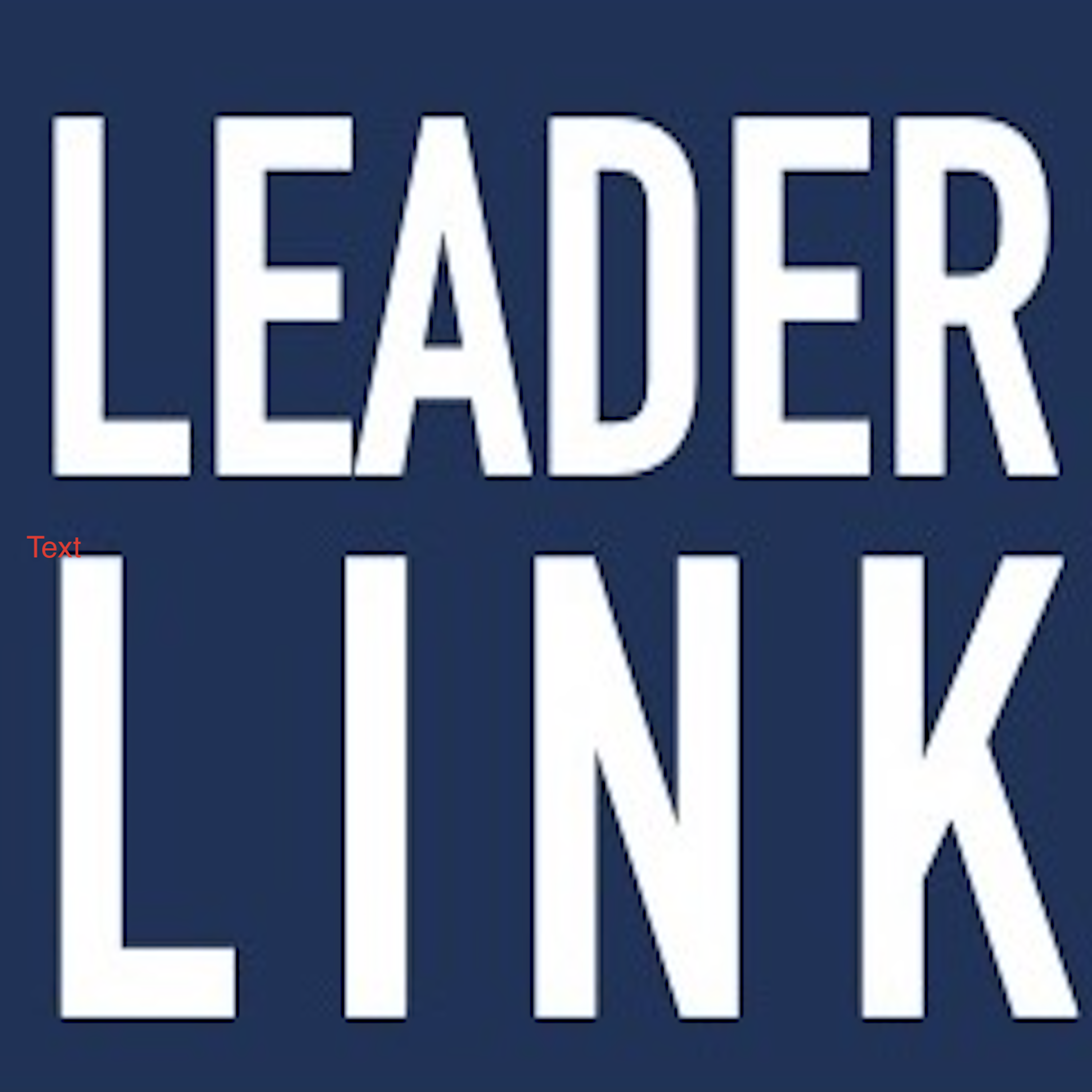 The Leader Link