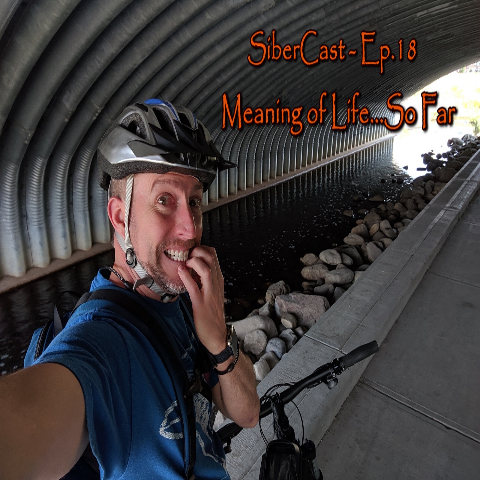 "Meaning of Life...So Far"