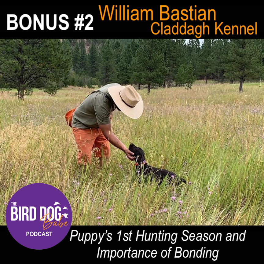 The Bird Dog Babe