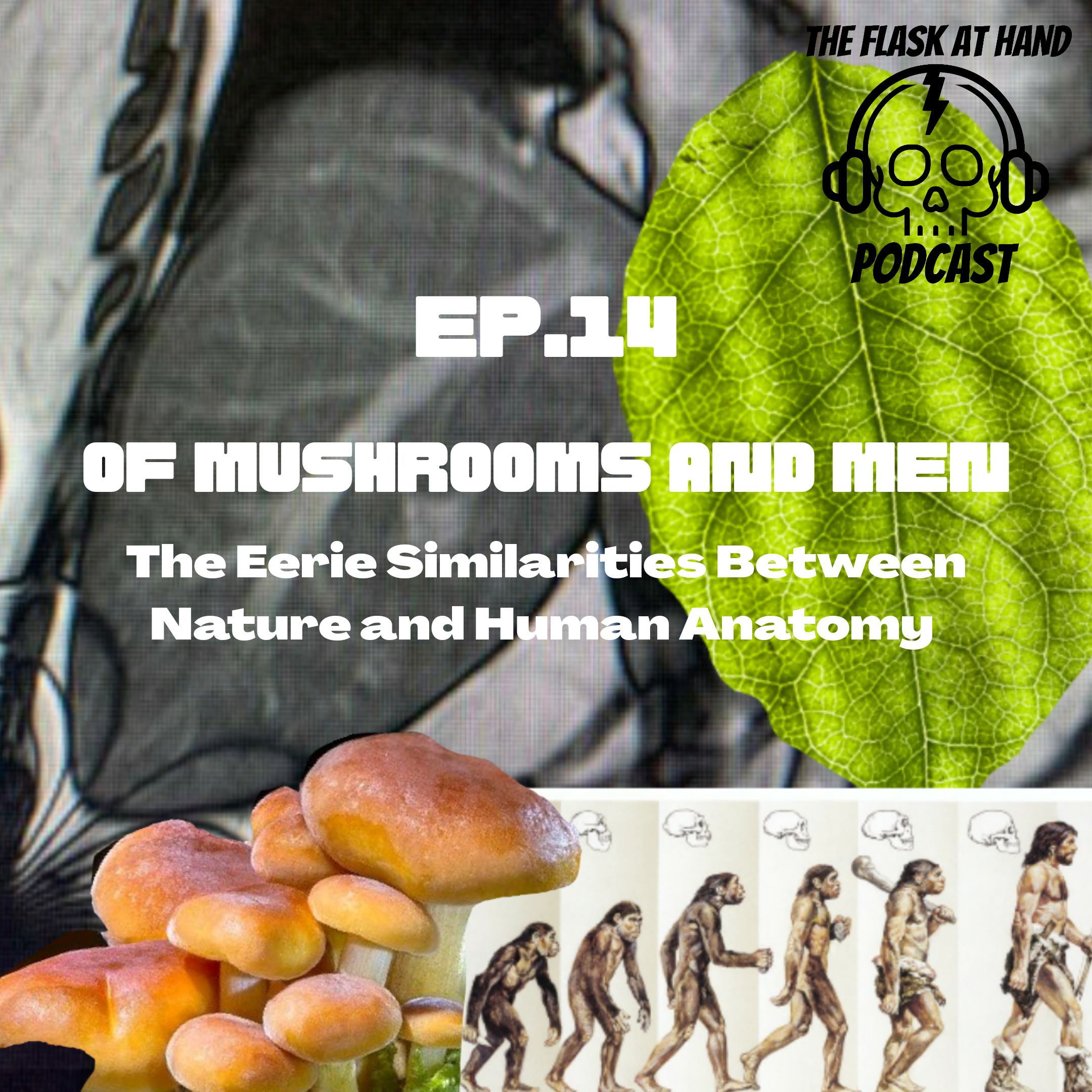 The Flask At Hand Podcast