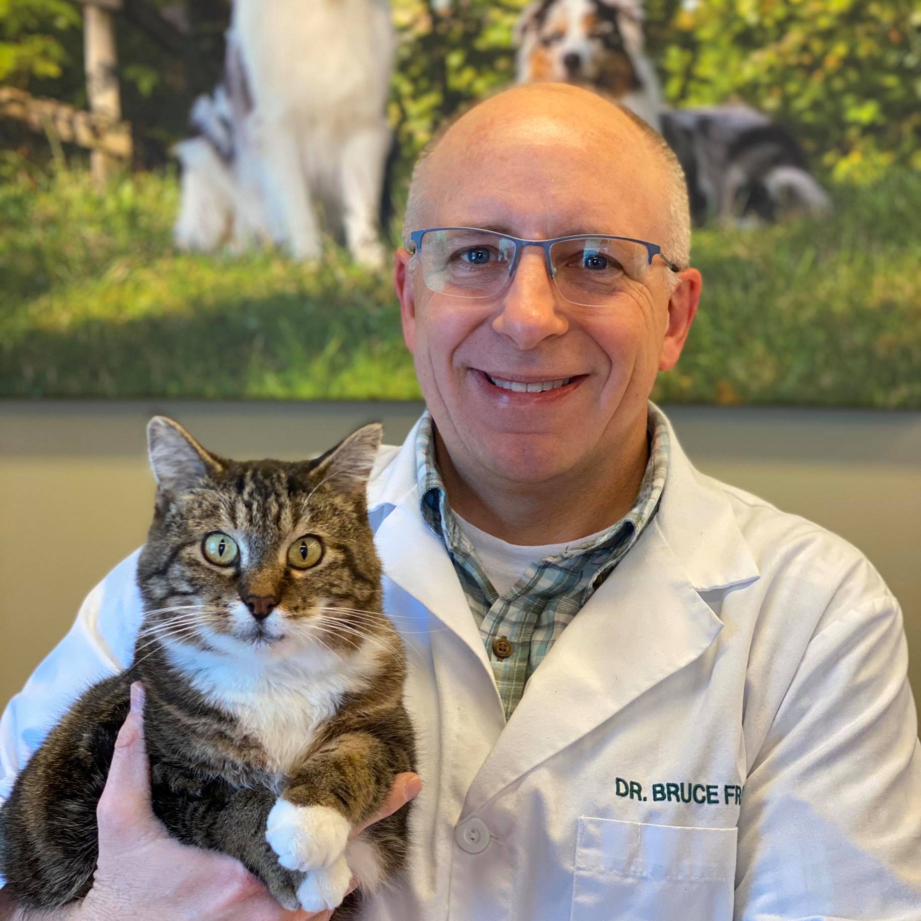 The Vet Reset
