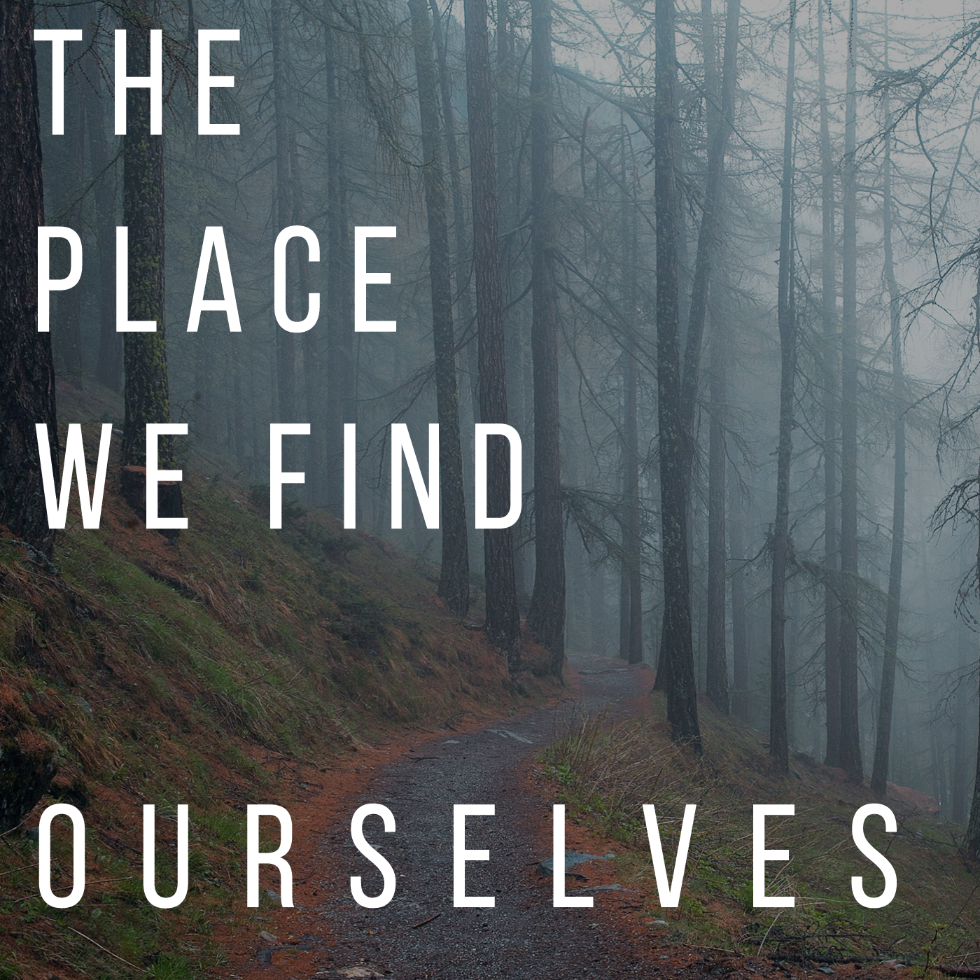 Uncovering Intentionality: Did My Parents Really Mean To Harm Me? Part 2