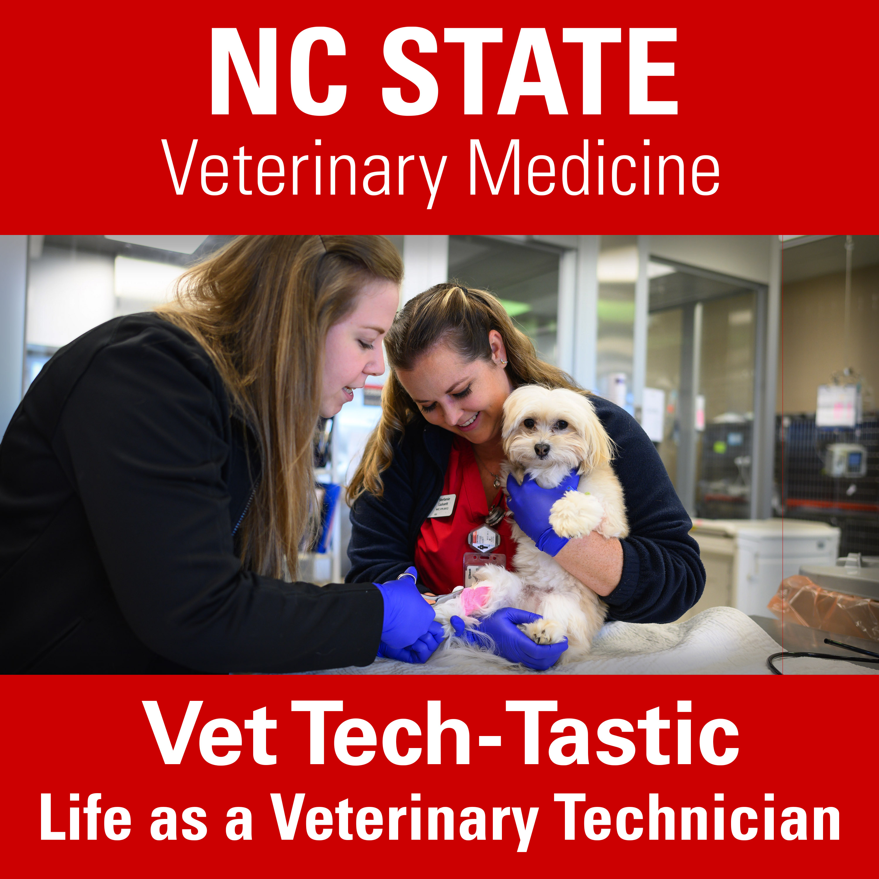 Vet Tech Tastic Podcast Podtail