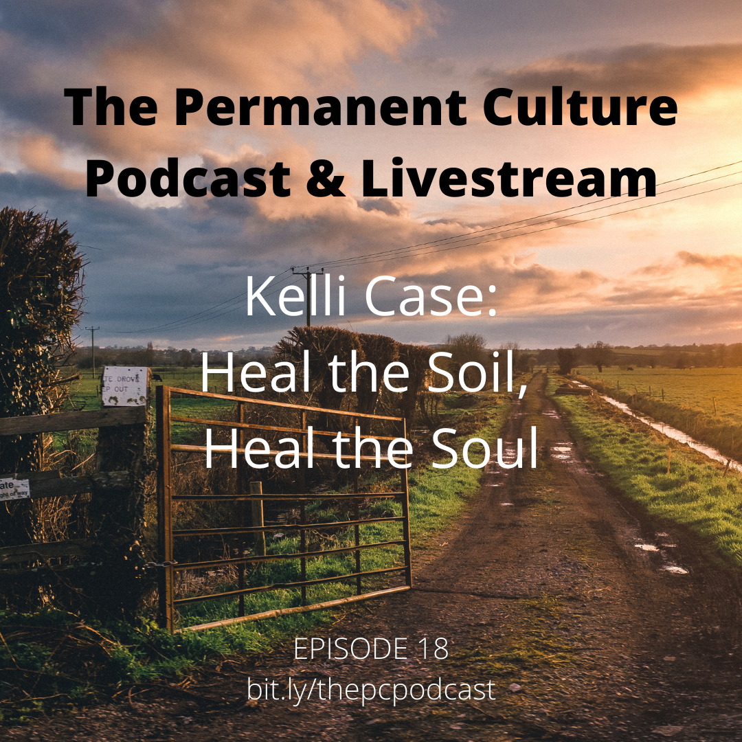 The Permanent Culture Podcast