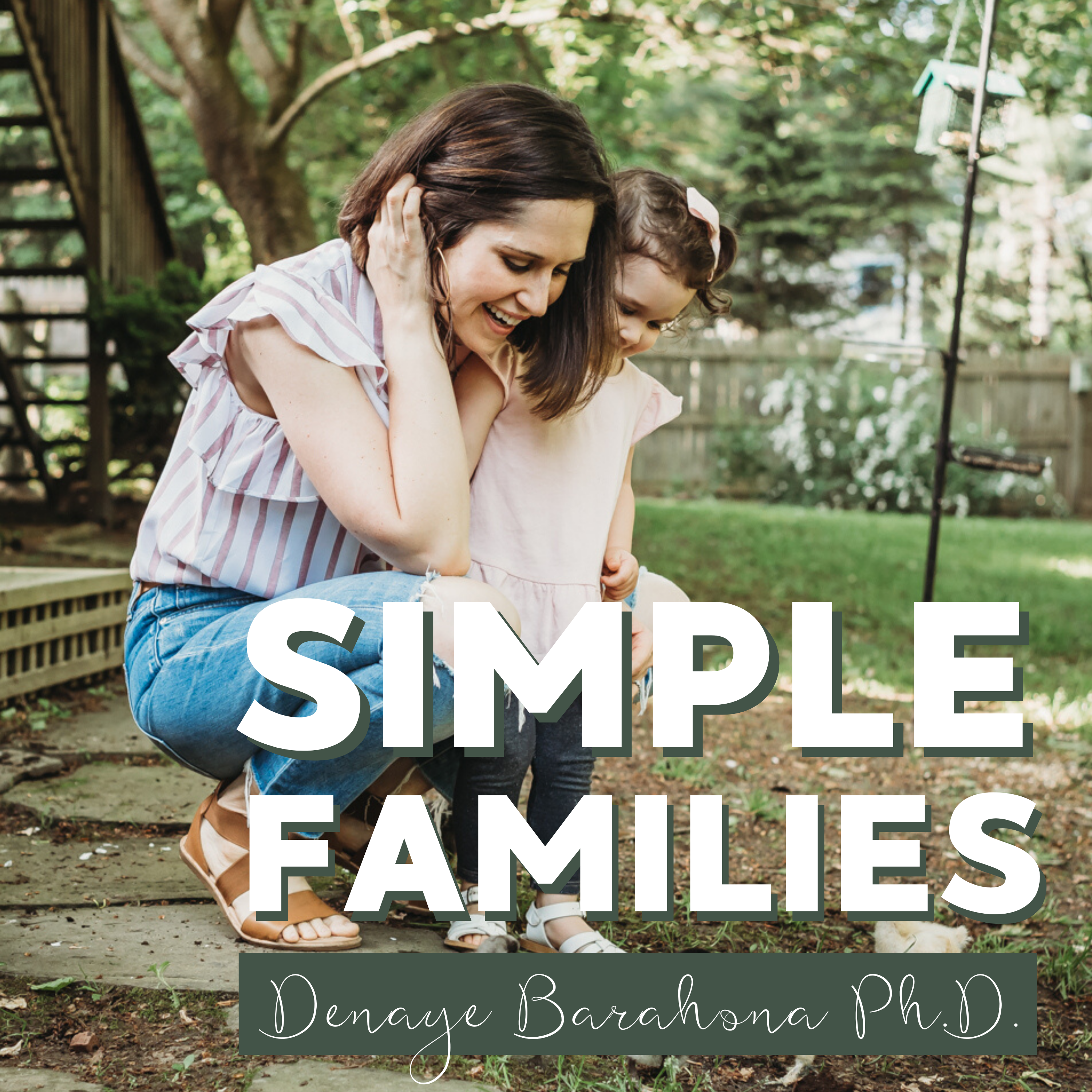 Simple Families