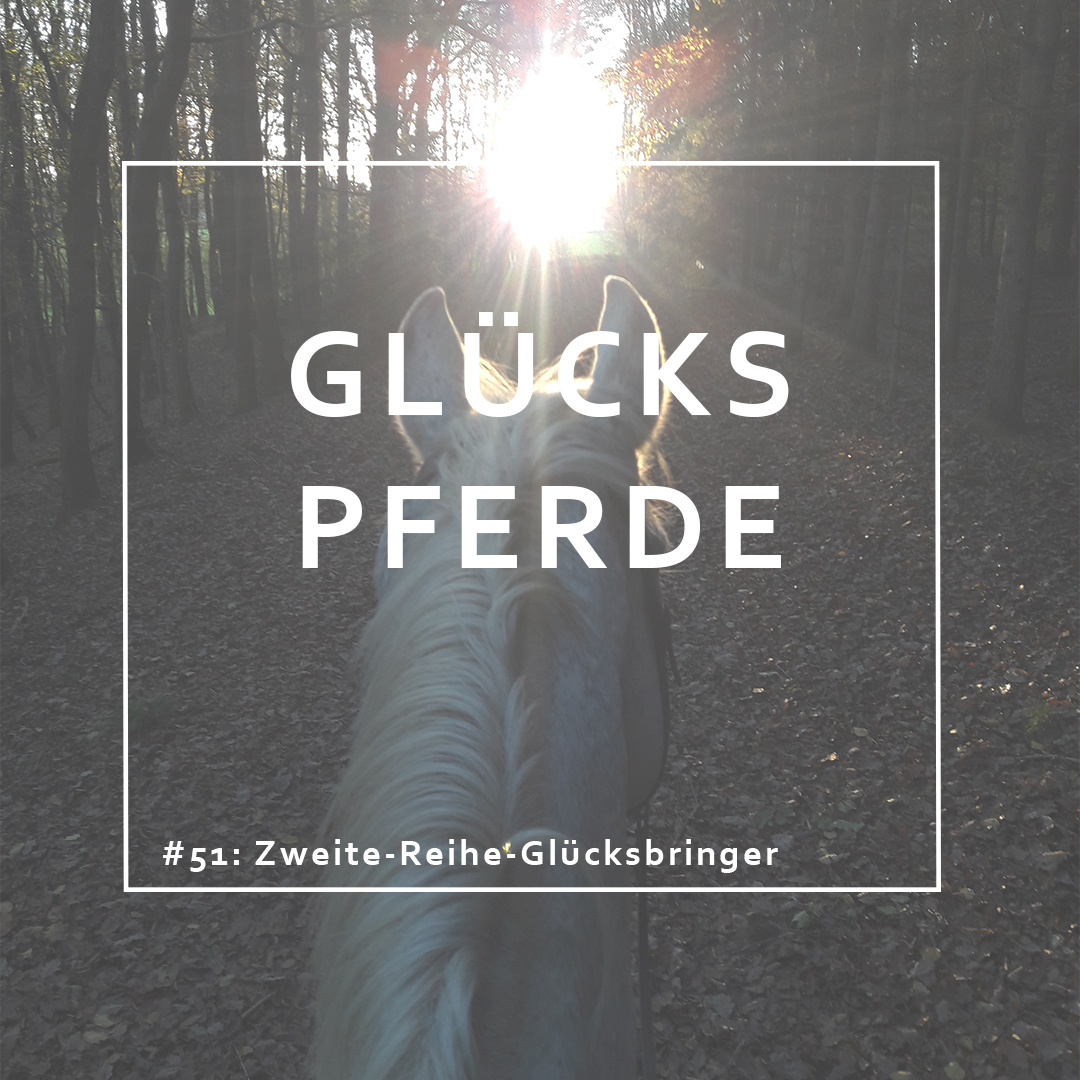 GlücksPferde - Erfüllt leben im Spiegel der Pferde