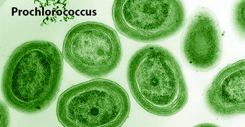 Cienciaes.com