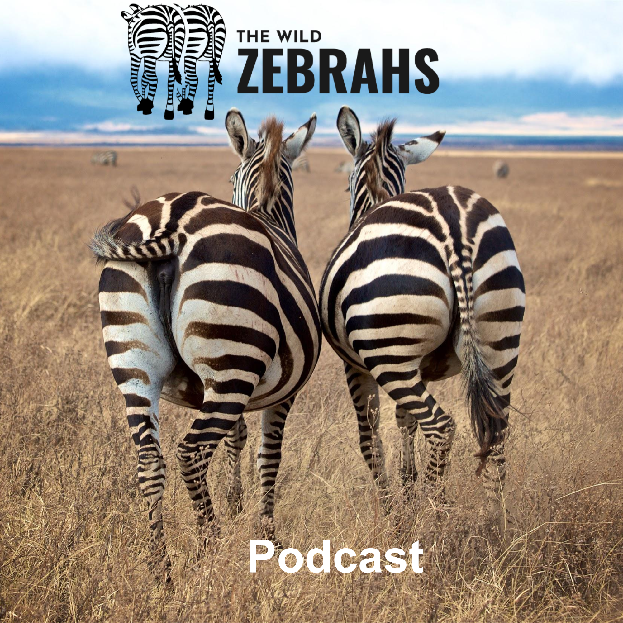 The Wild Zebrahs Podcast