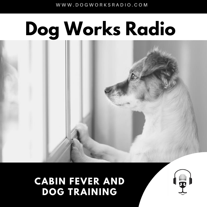 Cabin Fever and Dog Training