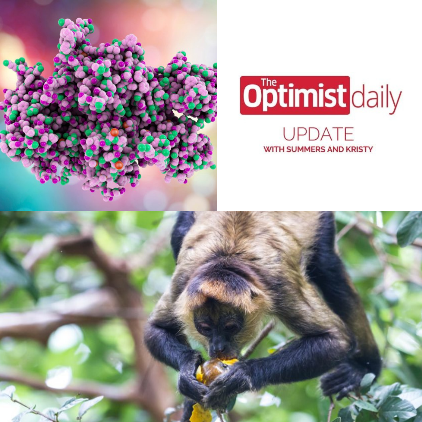 Drunken Monkey Hypothesis & Bacterial Enzyme Machines