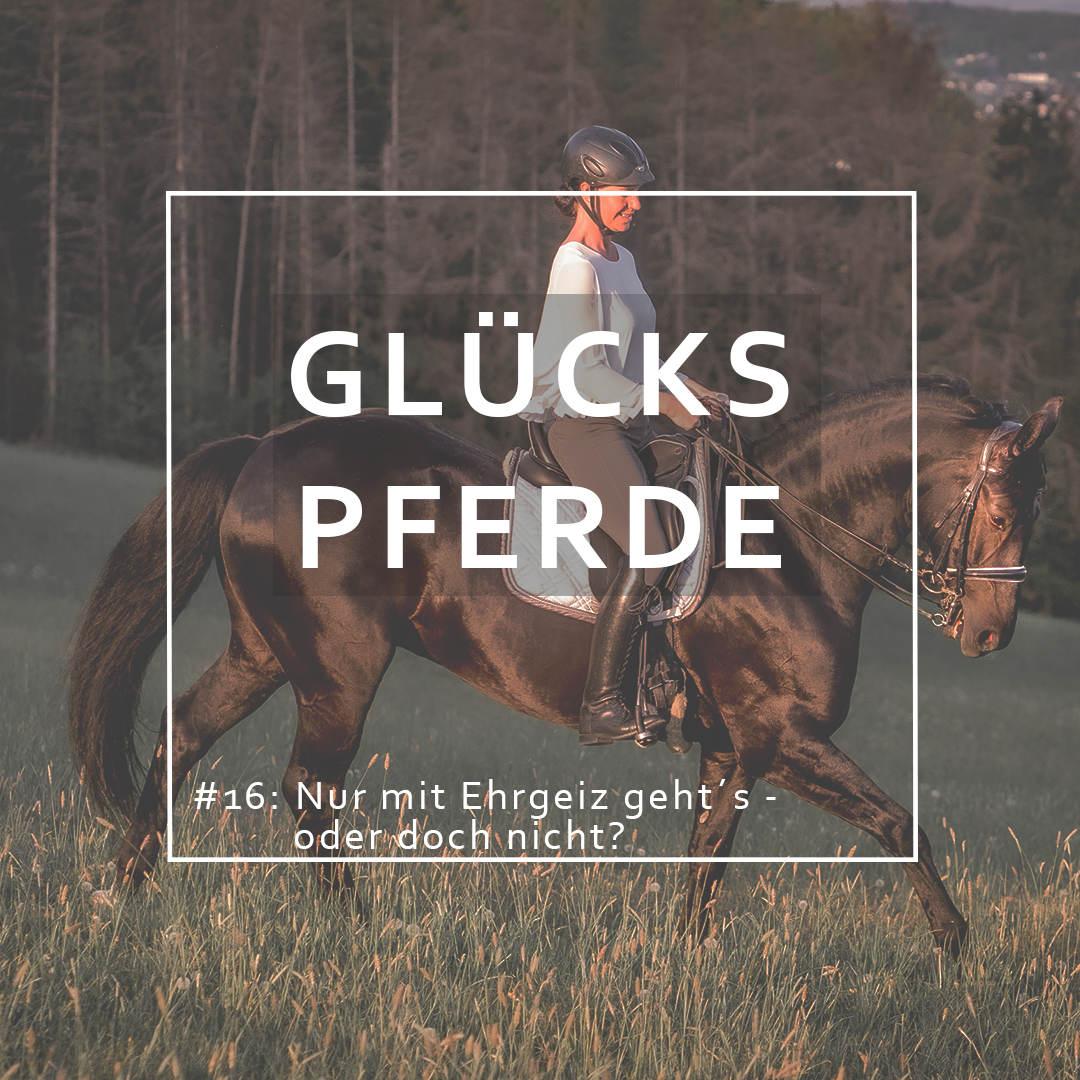 GlücksPferde - Erfüllt leben im Spiegel der Pferde