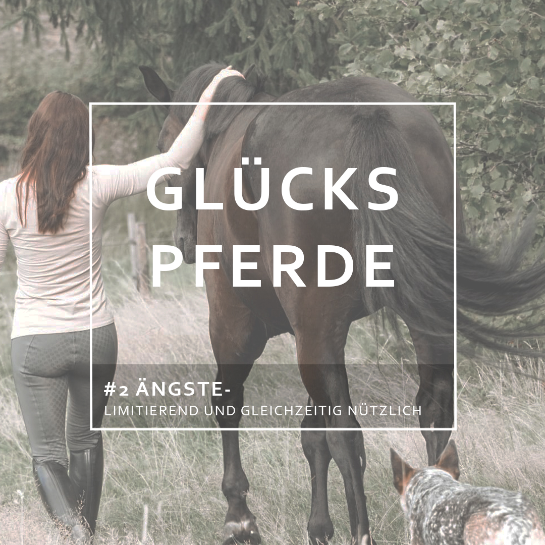 GlücksPferde - Erfüllt leben im Spiegel der Pferde