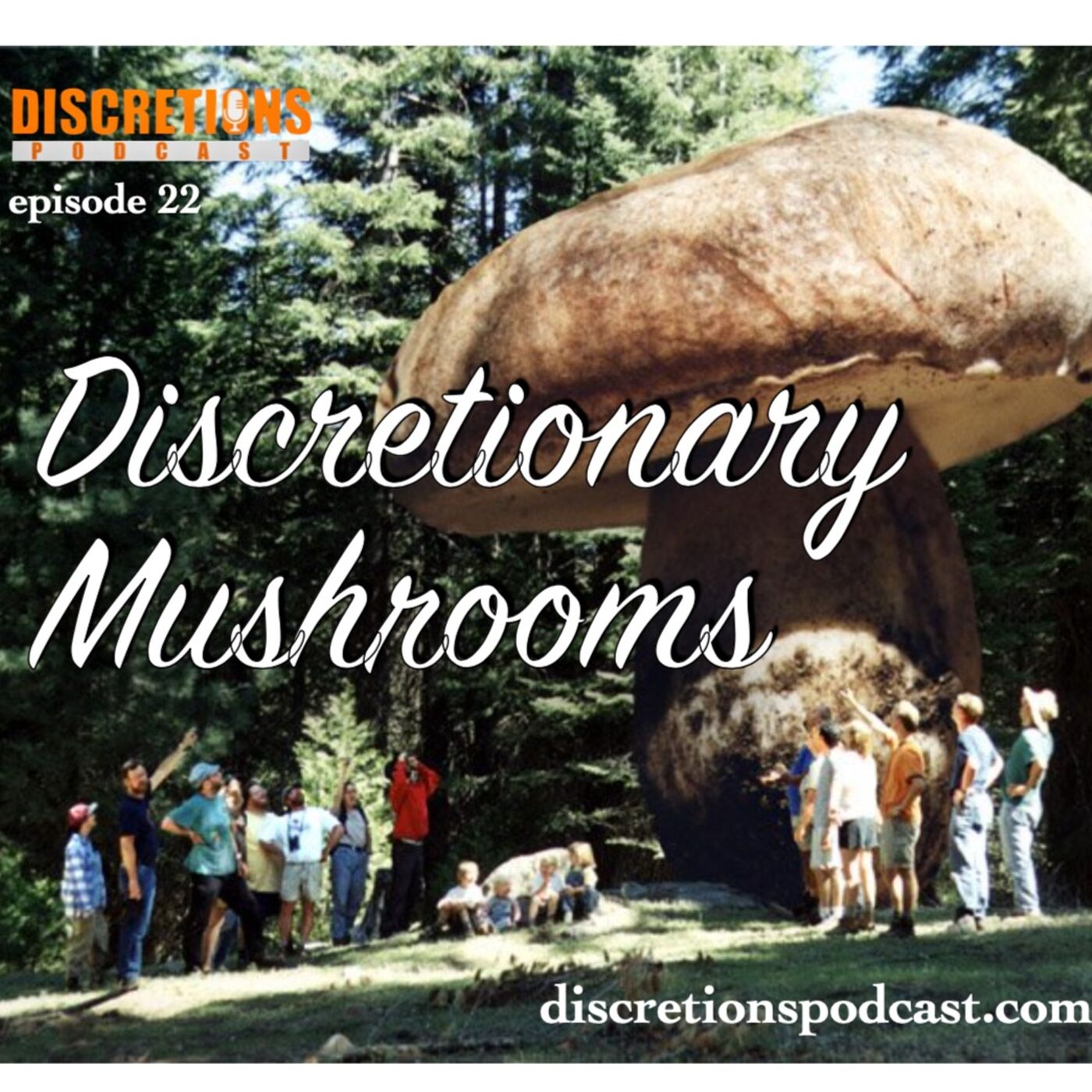 Discretions Podcast with Eric & Nick